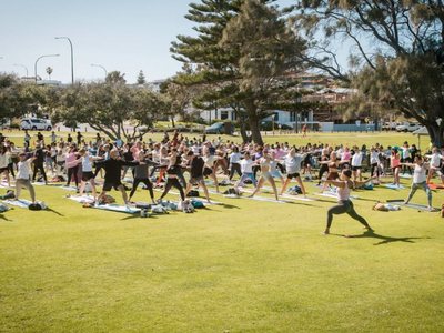 A large outdoor yoga class on the grass under Norfolk pines