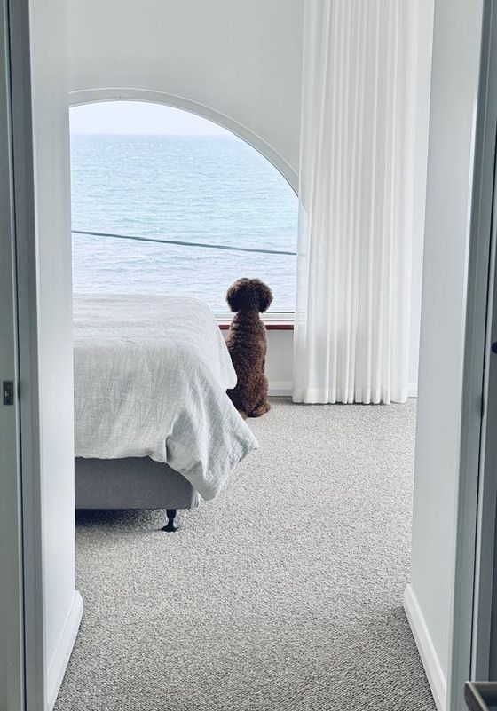 A dog sits at the arched window watching the ocean from the main bedroom