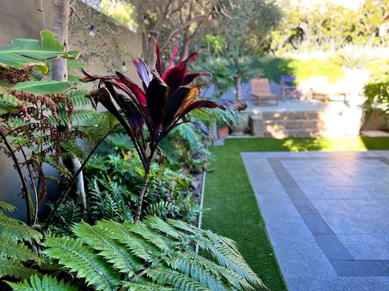Tree ferns and cordylines beside the lawn, with sun loungers on the raised deck